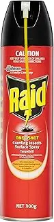 Raid One Shot Crawling Insects Surface Spray Targetkill, Insect Spray with Protective Barrier up to 6 Months, Targeted Nozzle, 300g, 1 Count