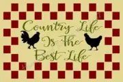 REUSABLE STENCIL ITEM 7825 AK 12"x18" - COUNTRY LIFE IS THE BEST -SIGN STENCILS