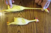 12 NEW STRETCH RUBBER CHICKENS SQUEEZABLE STRESS RELIEF 8" STRETCHABLE CHICKEN