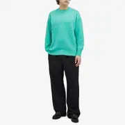 Auralee Brushed Wool Cashmere Crew Knit