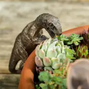 1pc Small Turtle Decorations Flower Pot Bonsai Craft Decorations Flower Pot Pals