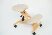 在飛比找樂天市場購物網優惠-《Chair Linya》母親節特惠 買張舒適的椅子 保護脊