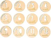 ERINGOGO 12-Month Baby Boy Monthly Blocks Newborn Photo Prop Commemorative Cards