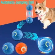 Automatic Jumping Ball for Pet Dog Interactive Training Toy Puppy Fetch Ball Cat
