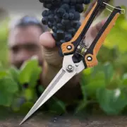 Garden Pruning Shears Fruit Picking Scissor Household Potted Trim Weed Branches