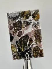 Excellent large etched Seymchan Pallasite meteorite slice, 8.17 gr , S29