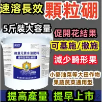 在飛比找蝦皮購物優惠-【*▽*台灣出貨】正品質保 高純度顆粒硼肥 提高坐果 保花 