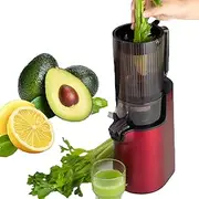 Cold Press Juicer, 250W 1400ML Juicer Machines with 12Cm Feed Port, 1 Juice/Pulp Cup and Cleaning Brush, Slow Masticating Juicer Machines for Oranges, Pomegranates, Watermelons