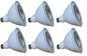 6, RAB 15W = 100W Dimmable LED PAR38 40° Flood Light Lamp Wet Loc 5000K Daylight