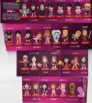 Professional Heroes Vol.8 Women s Pro Secret 31 Types Full Comp