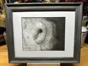 Drawing of a an Barn Owl Wildlife Nature Graphite Pencil Art Sketch Picture