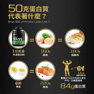 【ON 歐恩】SeriousMass 高熱量乳清蛋白6磅(巧克力)