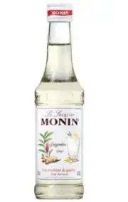 MONIN Shaved Ice Syrup Ginger Syrup Flavor 250ml Japan NEW
