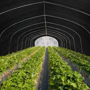 3.66x30M ZUNI 50% Shade Cloth Shade Sail Heavy Duty Garden Mesh Roll Black