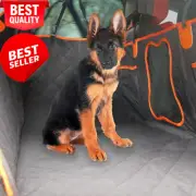 Dog Car Seat Cover, non-slip, scratch-proof, compatible with SUVs, trucks, for p