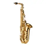 Eb Alto Saxophone Brass Lacquered Alto Sax Wind Instrument AU5 N2O9