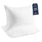 Bed Pillows Standard/Queen Size Set of 2 - Original Queen / Standard White