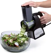 02970 Professional Saladshooter Electric Slicer/Shredder, Black,1 Count