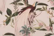 4 Drapes New Orleans BIRDSONG on Creme Cotton Sateen FREE THERMAL LINING