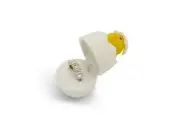 Gorgeous Ring Box by FELANA'S | Chick in Shell Shaped Ring Boxes