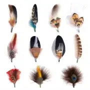 MIX BROWN Hat Feathers Assorted Natural Feather Packs Accessories for Fedora New