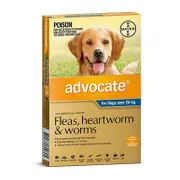Advocate Blue - 25kg+ Extra Large Dogs 3 pack (3 months)
