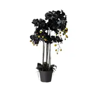 Fiore Black Orchid 8 Stems 90cm