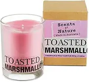 Tilley Scents of Nature Toasted Marshmallow Soy Candle 240 g