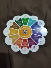 Sunnyside - Florida Medical Dispensary - Promo Magnet 5" - *SUPER RARE*