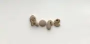 Naturally Letter Shaped HOPE Rocks Beach Stones word sign pebble art craft USA