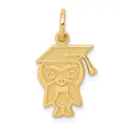 10k yellow gold graduation owl charm