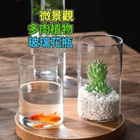 在飛比找蝦皮購物優惠-【草葉日和】苔蘚 花器 玻璃花瓶 微景觀 直筒玻璃花器 盆栽