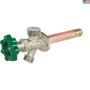 Outdoor Brass Hydrant 12-Inch Satin Nickel Frost Free Anti-Siphon Valve