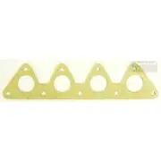 Platinum Extractor Gasket - HSM308