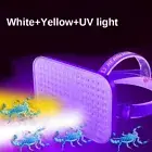 White Yellow 395nM UV Blacklight Headlamp Scorpions Detector Purple Headlight