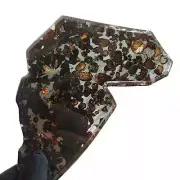 78.1g SERICHO pallasite Meteorite slice - TA515