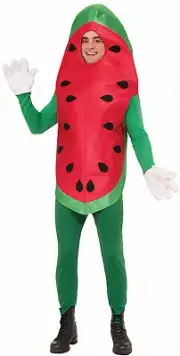 Watermelon Adult Costume One-Size