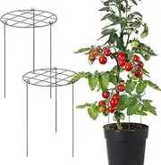 Plant Trellis Indoor | Stable Plant Climbing Support | Multifunctional Garden Supplies for Potted Planter Propagation Raised Vegetables