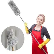 Webster Cobweb Duster, Feather Duster for Home, Extendable Dusters for