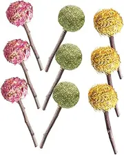 Generic 9pcs Pet Lollipop Rabbit Chew Sticks Parrots Teething Hamster Ball Pet Chewing Sticks Bunny Chewing Stick Rabbit Chew Ball Parrots Biting Bunny Treat Plant