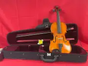 JUZEK VIOLIN OUTFIT 4/4 Size /CASE, BOW, Dominant Violin Strings Gold Label E
