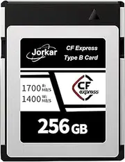 CFexpress 256GB Type B Memory Card for Camera Camcorder Nikon Z6/Z7/Z9/D6 for Canon EOS-1DXMark III/EOS-R5 for Panasonic S1/S1R, DJI, Up to 1700MB/s RAW 8K 4K