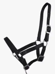 QHP Shetland foal head collar/halter/headstall QHP