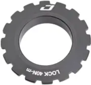 Jagwire Center Lock Disc Brake Rotor Lock Ring for 15-20mm Axles, Alloy, Black