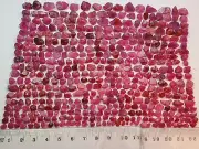 688 Carat Ruby Transparent Facet Crystal/Rough From Jegdalek Mine Afghanistan