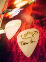 IBANEZ STEVE VAI 御用簽名款電吉他用 PICK /彈片(表面防滑顆粒設計)【唐尼樂器】