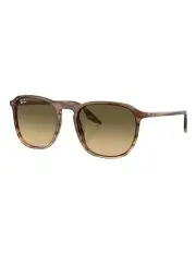 [Ray-Ban] RB2203 Sunglasses in Brown