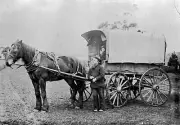 Pine Park' Station Weatherboard Victoria ca 1895 OLD PHOTO