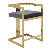 Pangea Home Kenzie 23.6" Velvet/Steel Counter Stool in Gray/Gold
