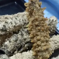 在飛比找蝦皮購物優惠-頂級刺参 乾海參 海參 刺參 海參 禮品